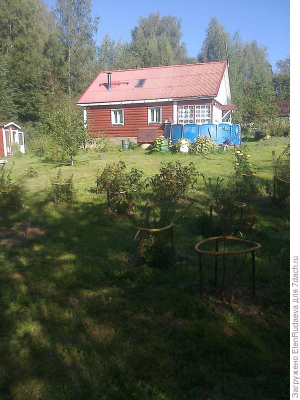 Дом бревенчатый ручной рубки диаметр бревна от 19 до 22 см,пол и потолок утеплены по всем правилам,спасибо за ваши профессиональные статьи!