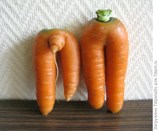 Сладкая парочка