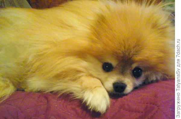 Привет и поздравления от Патрика