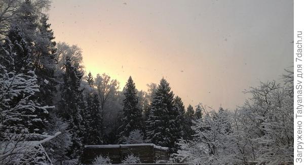 Вид из окна