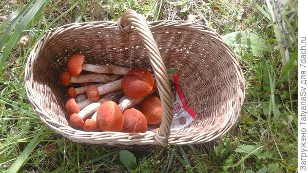 Начало есть!