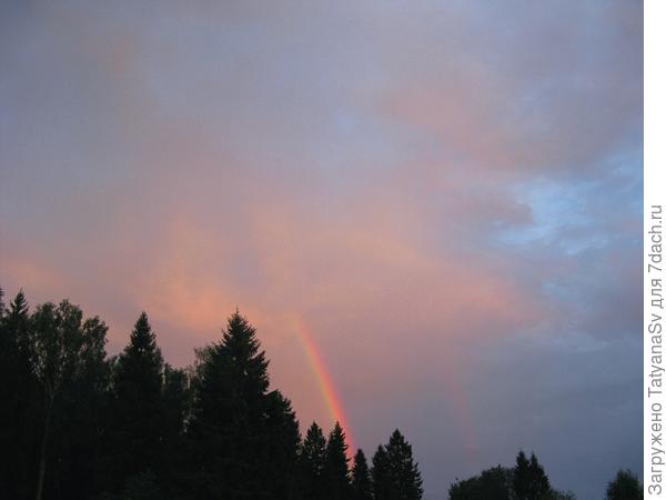 А за лесом - радуга...