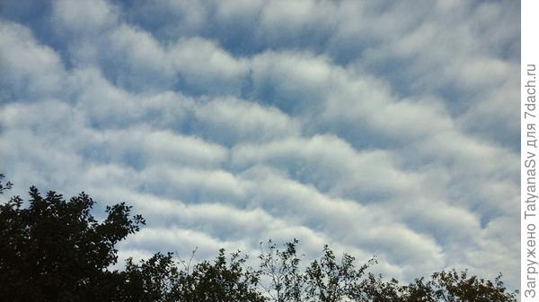 Волнистые облака