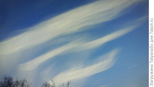 Небесные параллели