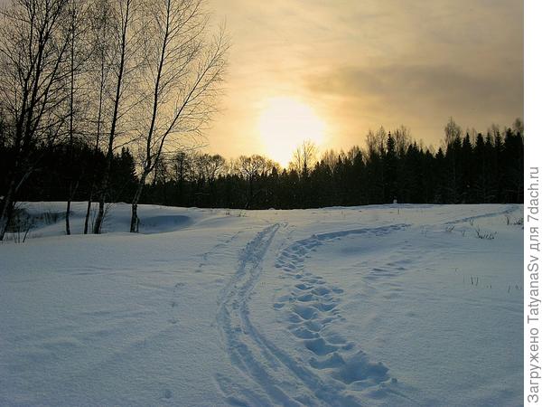 Зимний рассвет