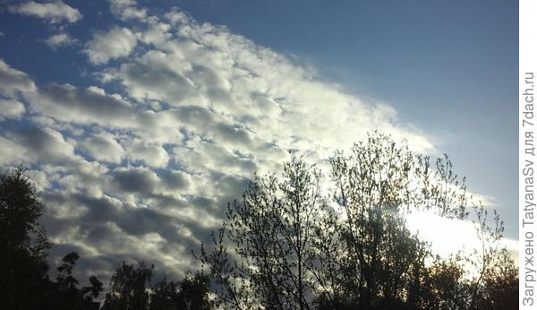 Сегодня - спокойный ласковый рассвет...