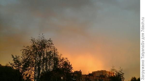 Вчера вдали виднелось яркое зарево заката...