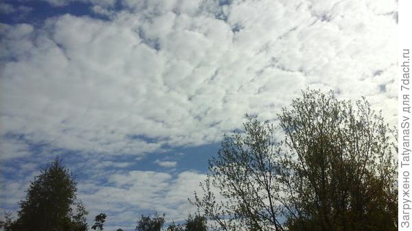 Плывут по небу облака