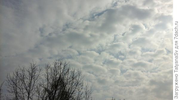Облака бывают разные...