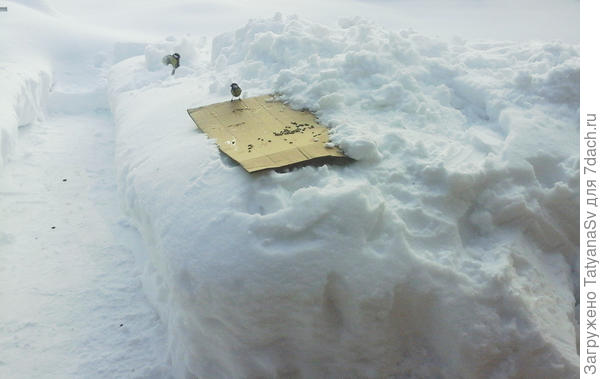 И снег... много снега...