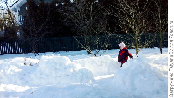 Все крепости ещё целы... А крепкий наст позволяет бегать по всему участку...