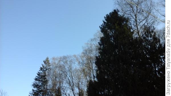 Небо весеннее - голубое и высокое...