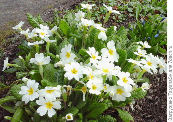 А днём +10, солнечно.  Ждём дальнейшего потепления.