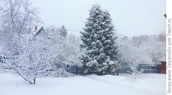 И снова белым снегом замело, запуржило, занесло... 0°