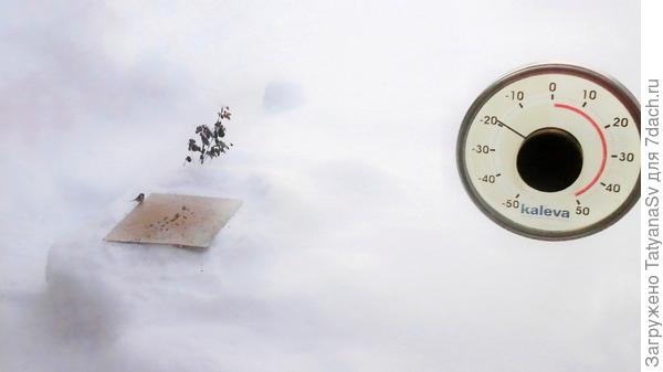 Никольские морозы