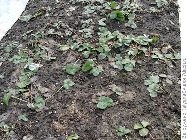 Подмосковье