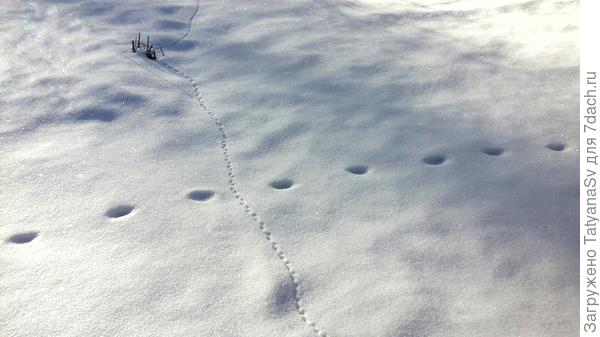 Опасный перекрёсток...