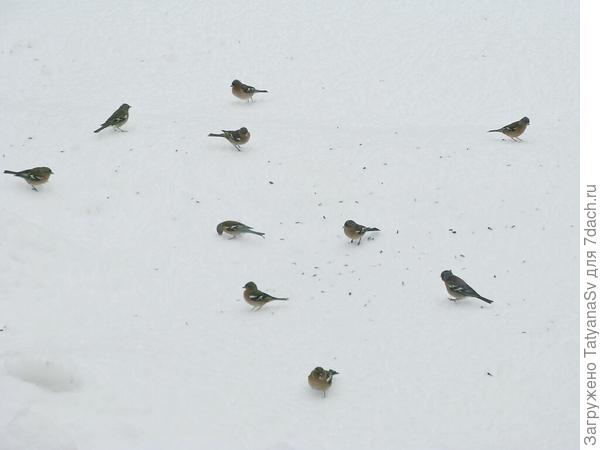 Ура! Ещё один день продержались.