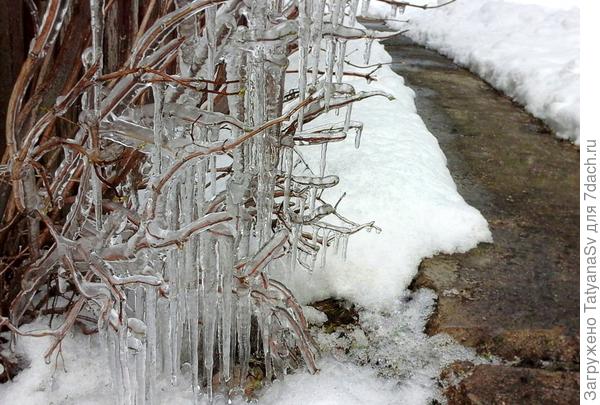 Апрельские гирлянды