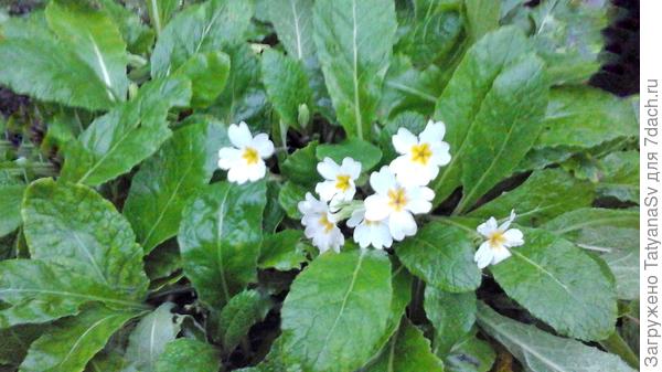 То ли ноябрь, то ли март... 😊