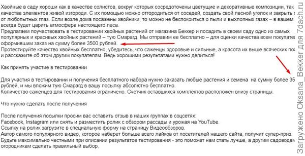 Тестирование хвойных.