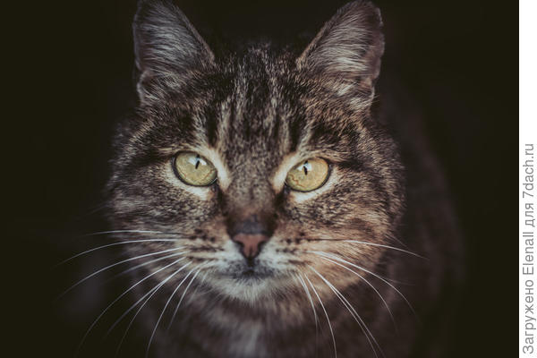 Моя Дуняшечка