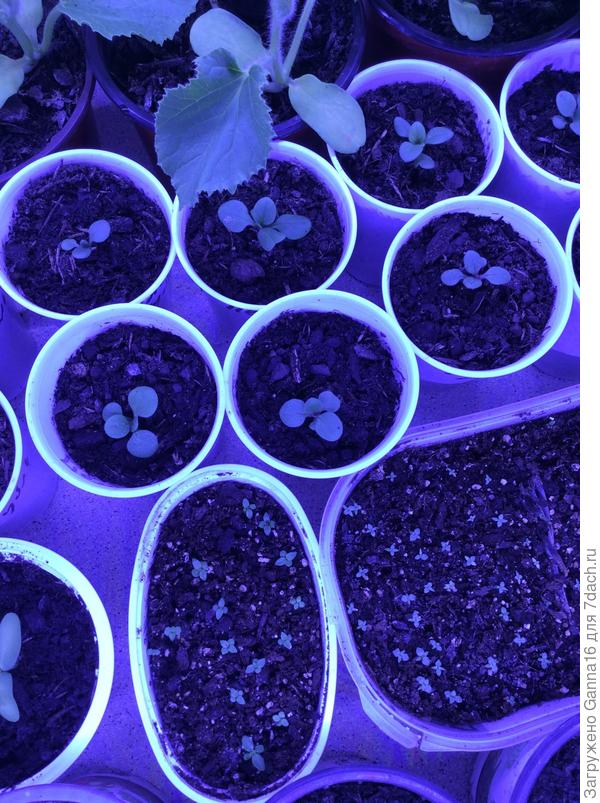 Почувствуйте разницу