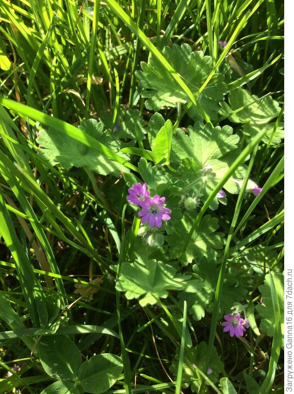 Тоже не знаю. Аж стыдно...