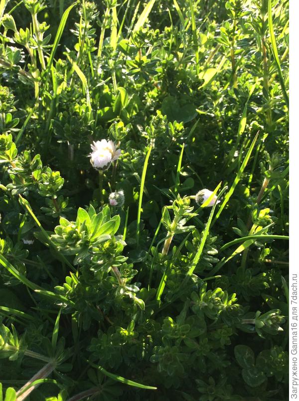 А эти ещё не проснулись