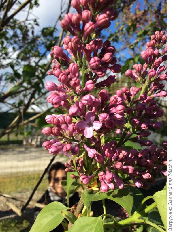Чур, я первый открылся...