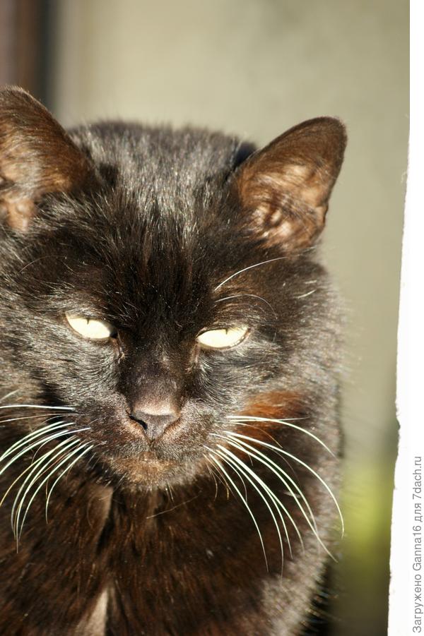 А я прослежу , чтобы не будили...!