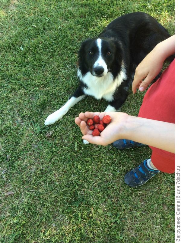 Кто ищет , тот найдёт