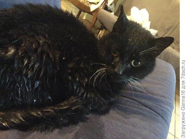 Опять вымок!!!!