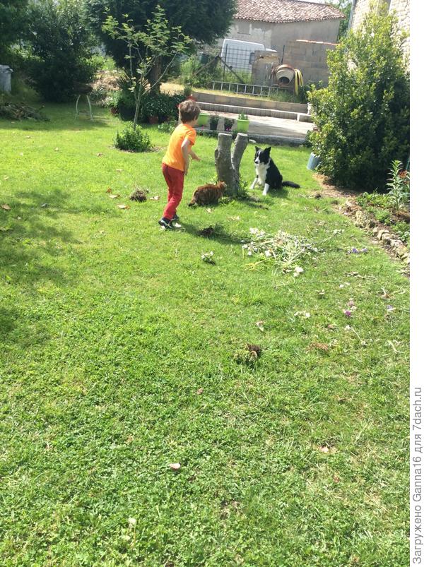 Из двух зол...