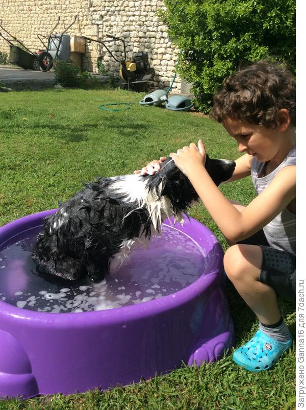 ...и поглажу...