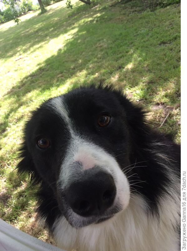 Обиженный, но чистый...