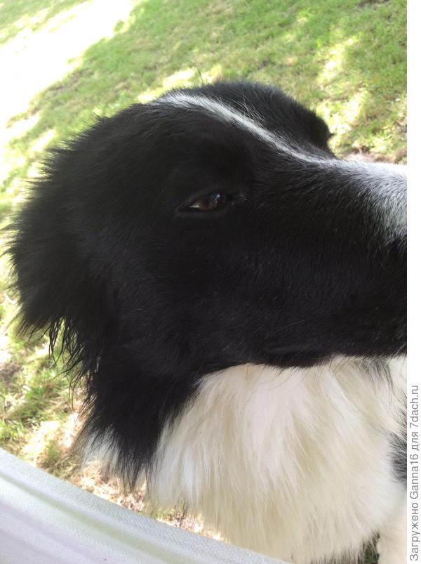 Как вы меня достали...