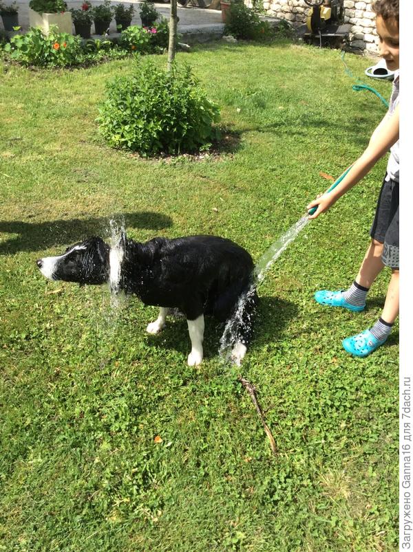 Я отомщу!! И "мстя" моя будет страшна!!! Паааберегииись!!!!!