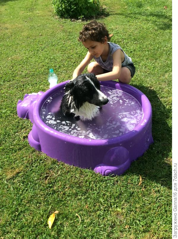 Но эта процедура мне нравится меньше