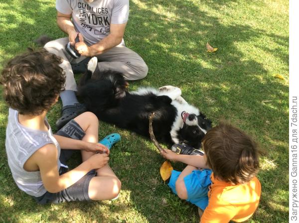 Хорошо-то как