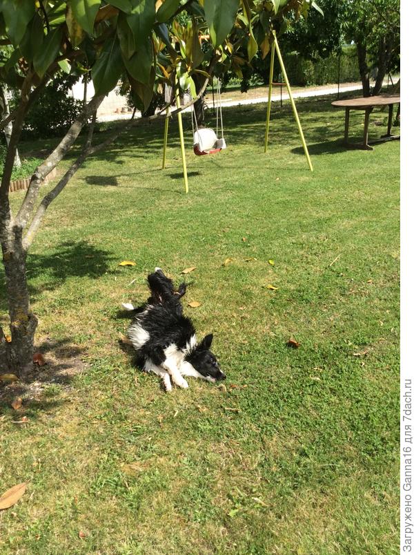 А вообще, плевал я на купание...