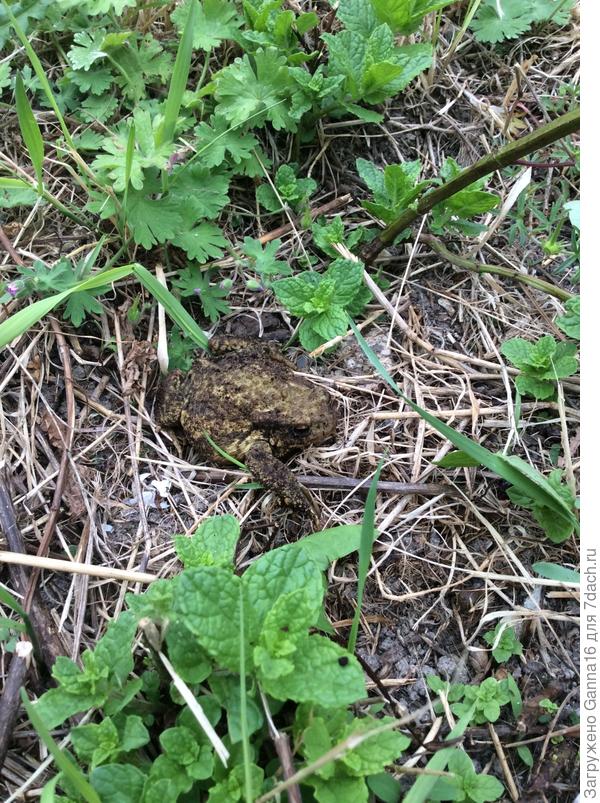 А вообще она такая...