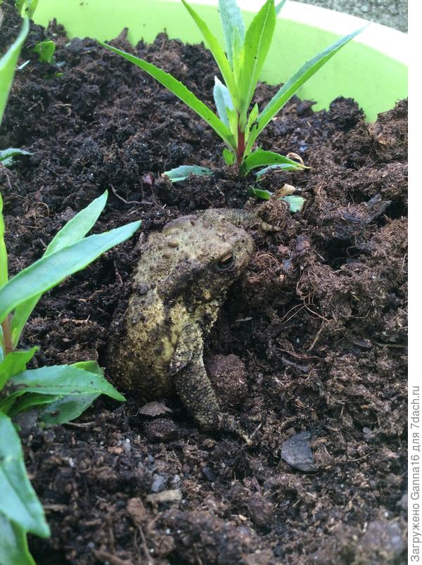 Маскируется