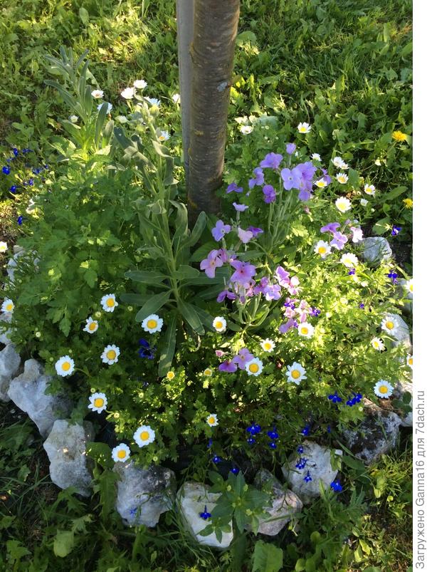 Простенько, но мне нравится