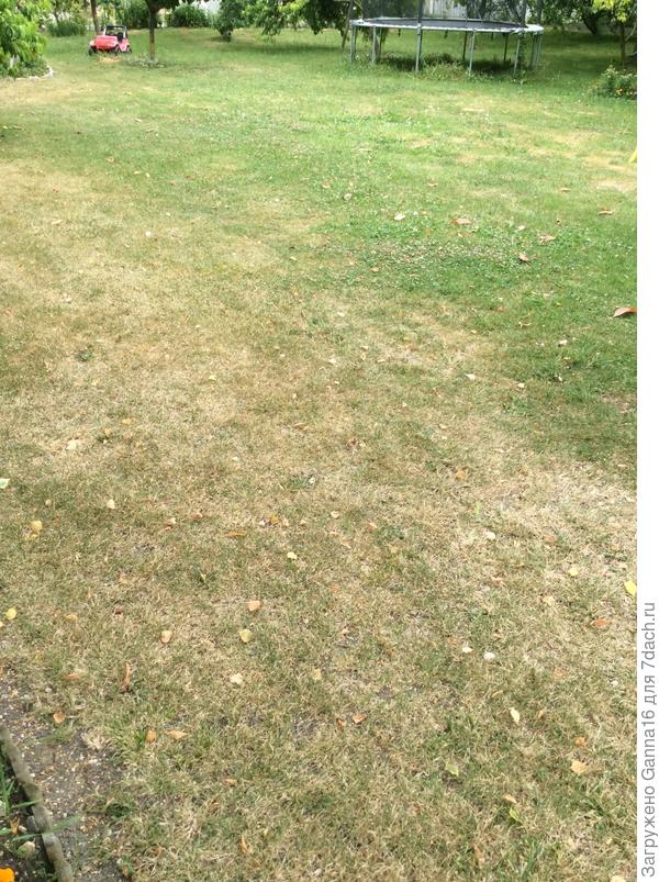 Почти как осенний