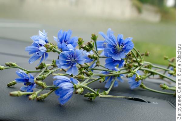 Букет домой