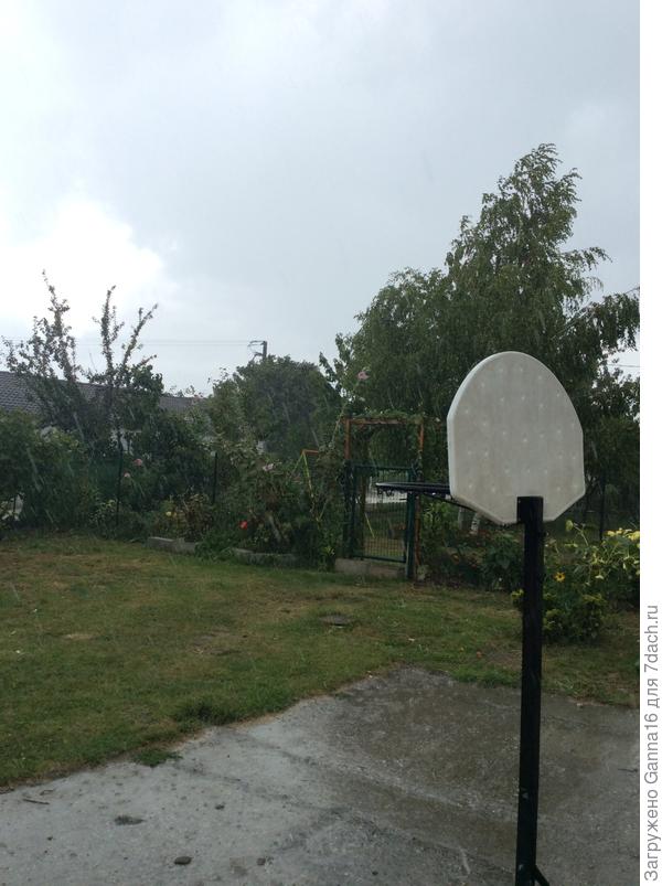 Ловите дождик!