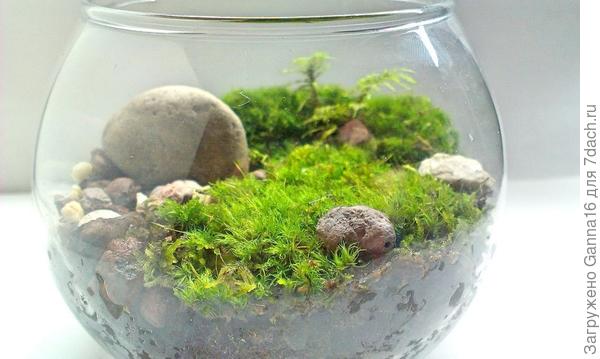 Фото из интернета ( Ярмарка Мастеров).