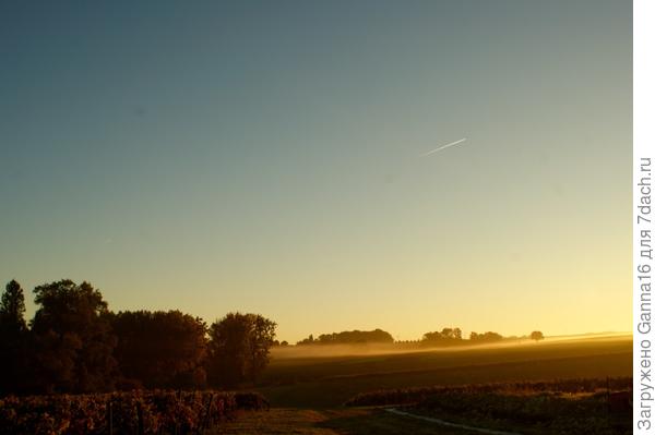Сразу за воротами