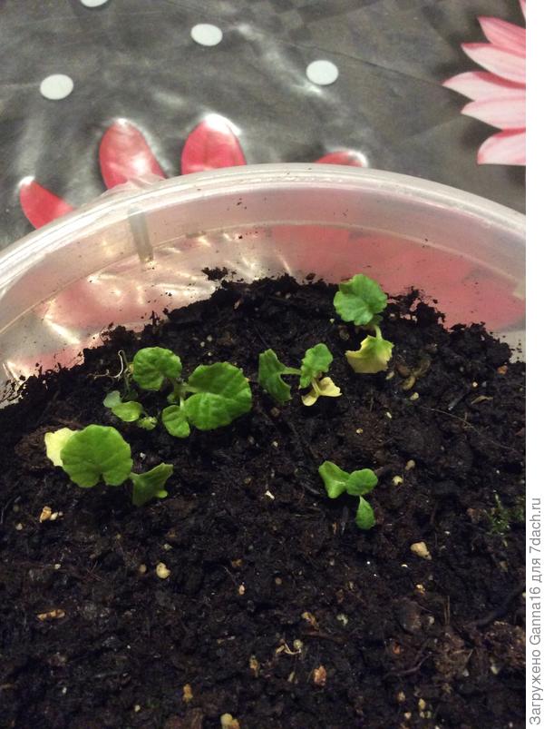 Середина ноября. И что с ней делать...